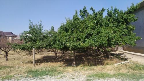 земельный участок