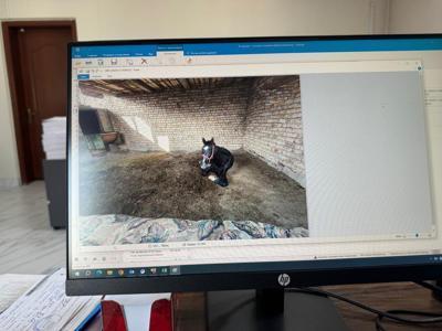 Повторное объявление